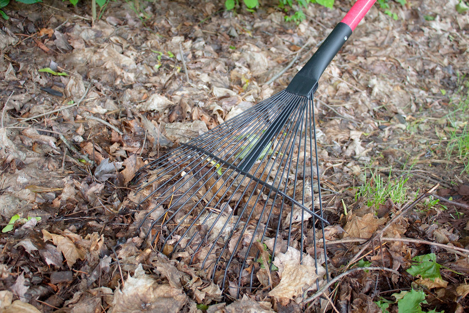 4 Leaf and Thatching Rake