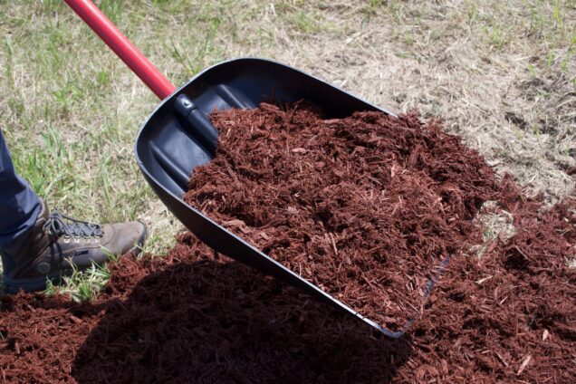 Mulch/Snow scoop scooping mulch