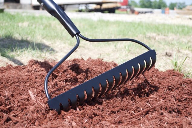 Bow Rake posed
