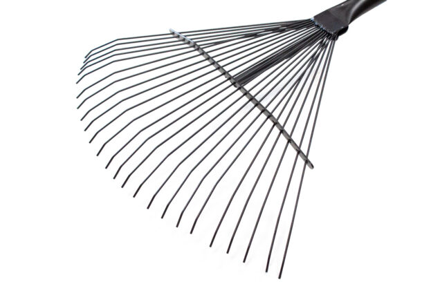 Thatching Rake Head