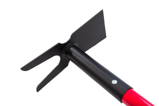 Two-Prong Hoe head