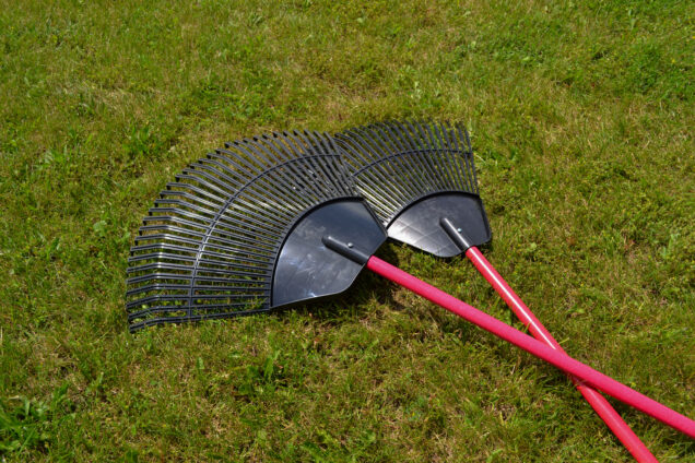 Lawn/Leaf Rakes