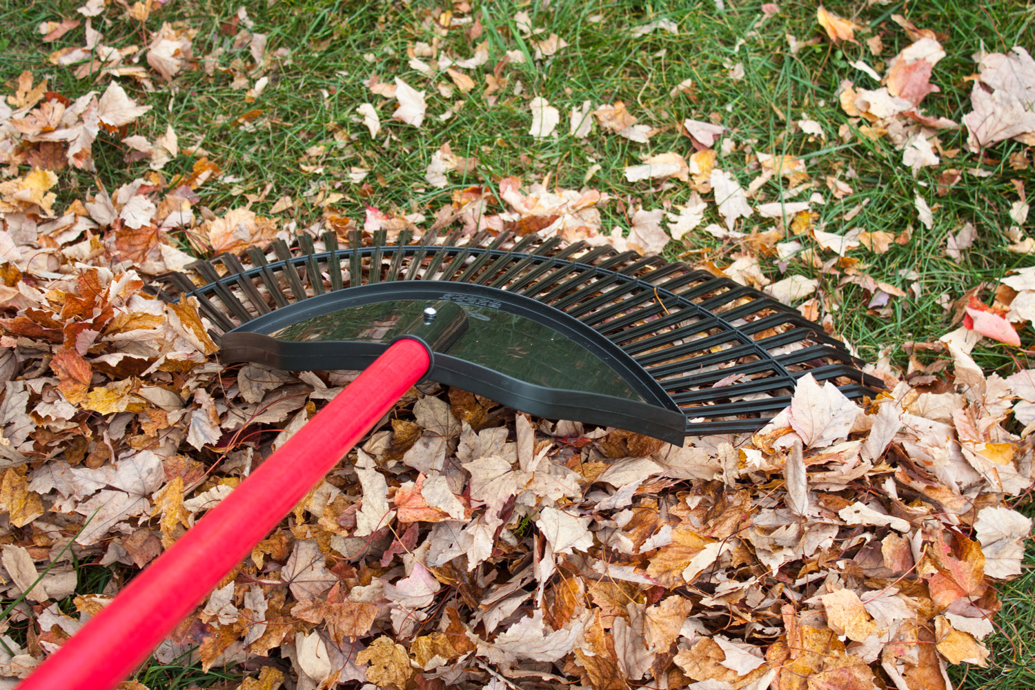 Poly Lawn / Leaf Rake Action 01