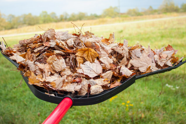 Poly Lawn / Leaf Rake Action 02