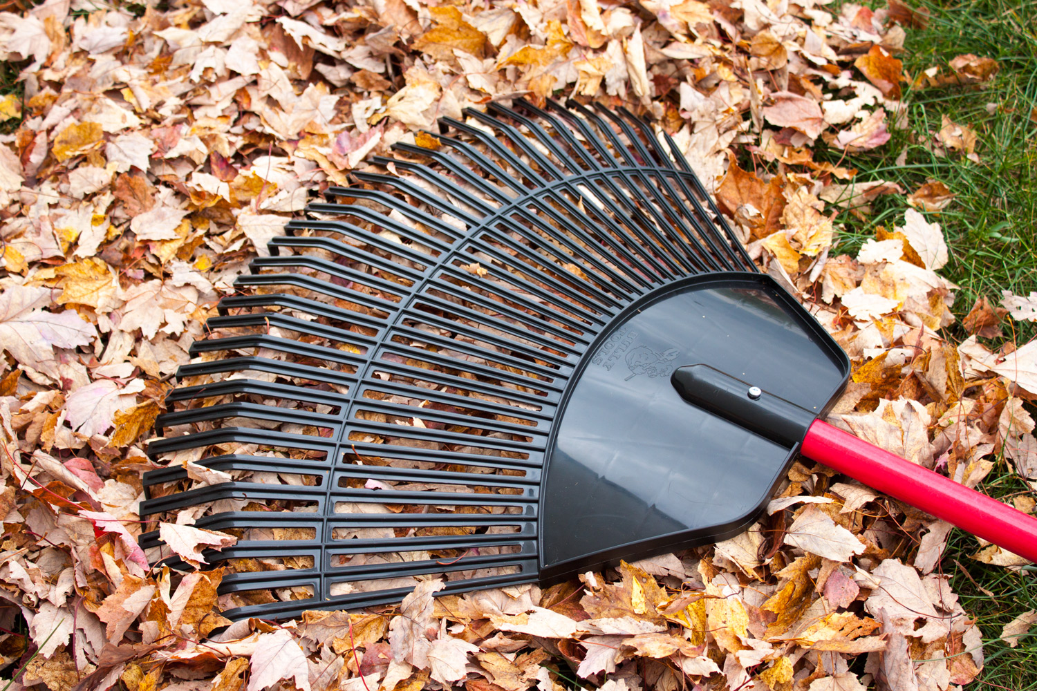 Poly Lawn / Leaf Rake Laying Down 02