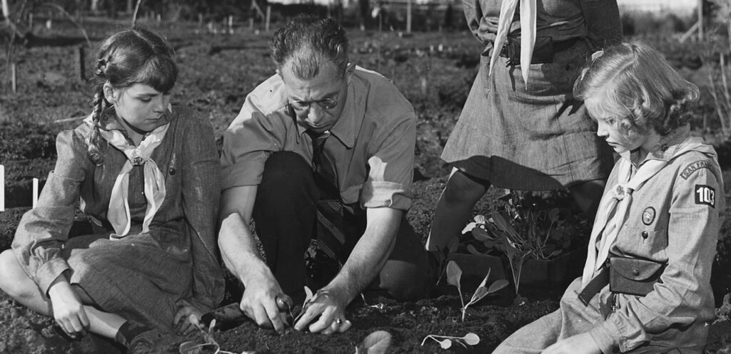 Planting Victory Garden