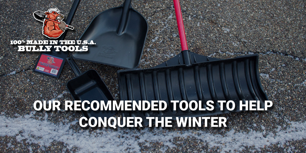 Winter Buying Guide