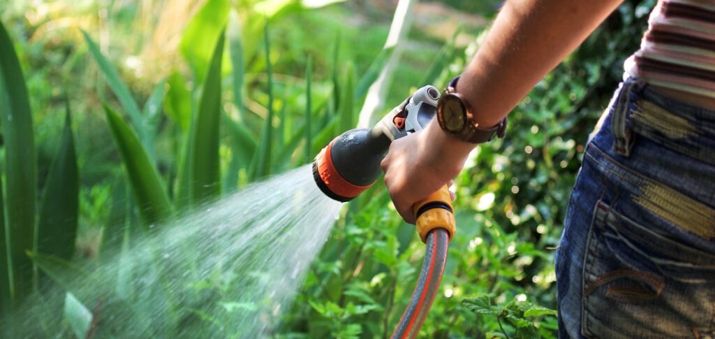 Garden hose watering plants