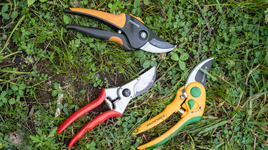 Garden shears laying in grass