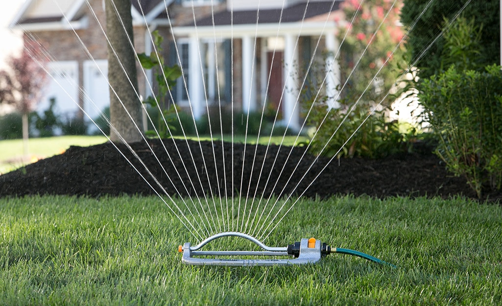 Lawn sprinkler watering lawn