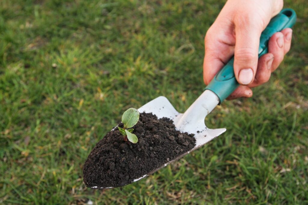 Hand trowel