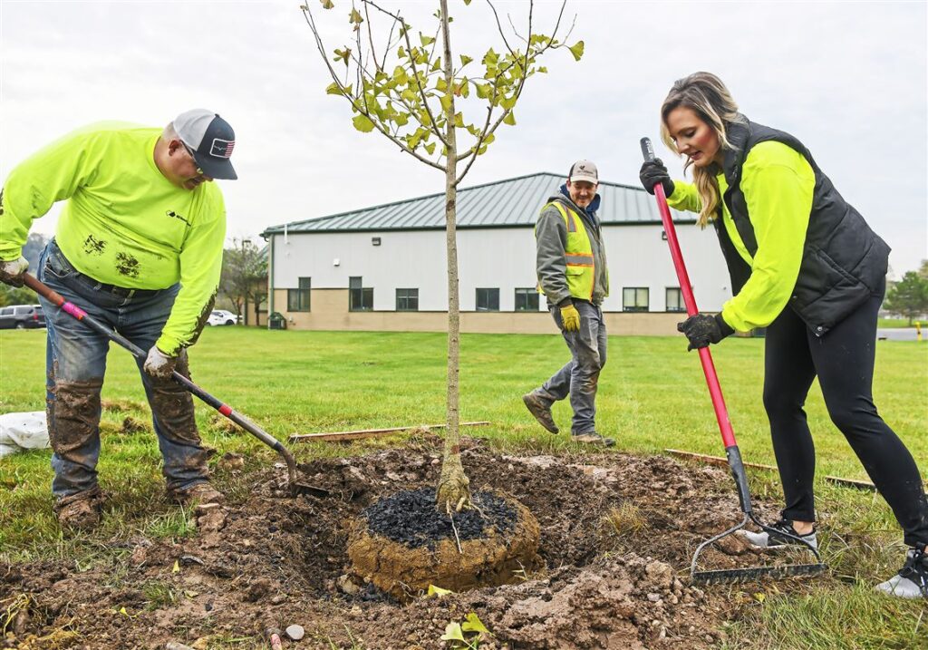 Planting trees