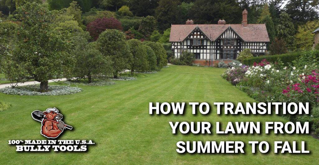 How to Transition Your Lawn from Summer to Fall