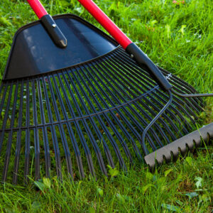 Grass, Leaf & Bow Rakes photo