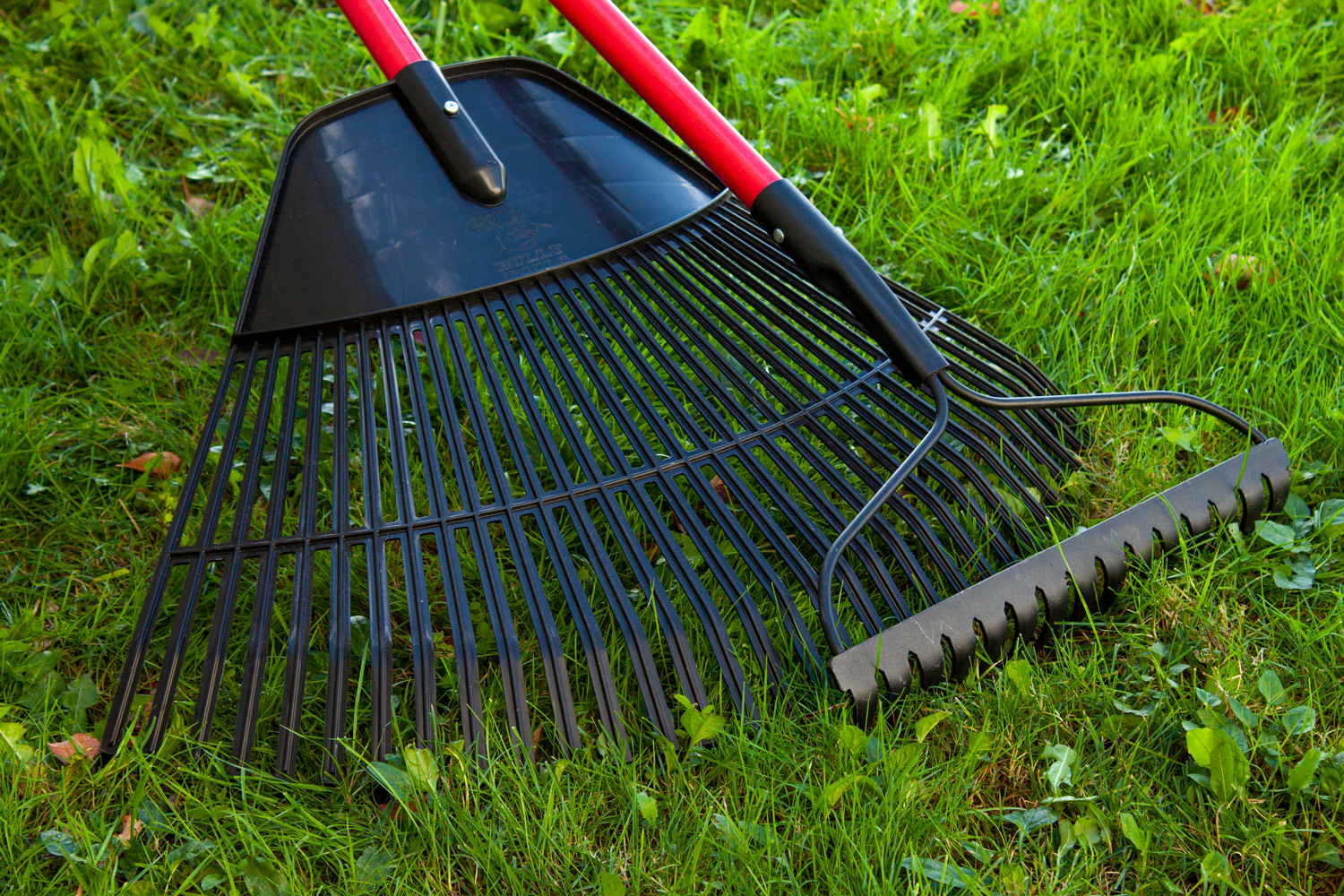 Grass, Leaf & Bow Rakes photo