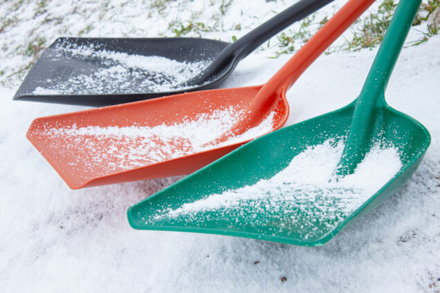 Snow Scoops photo