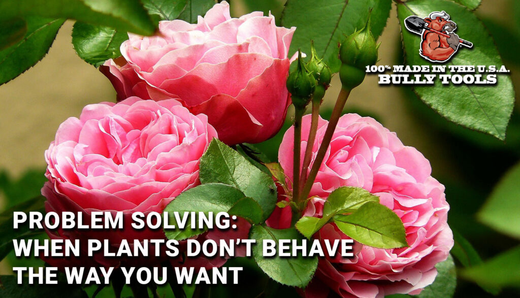 Header image for "Problem Solving: When Plants Don't Behave The Way You Want"