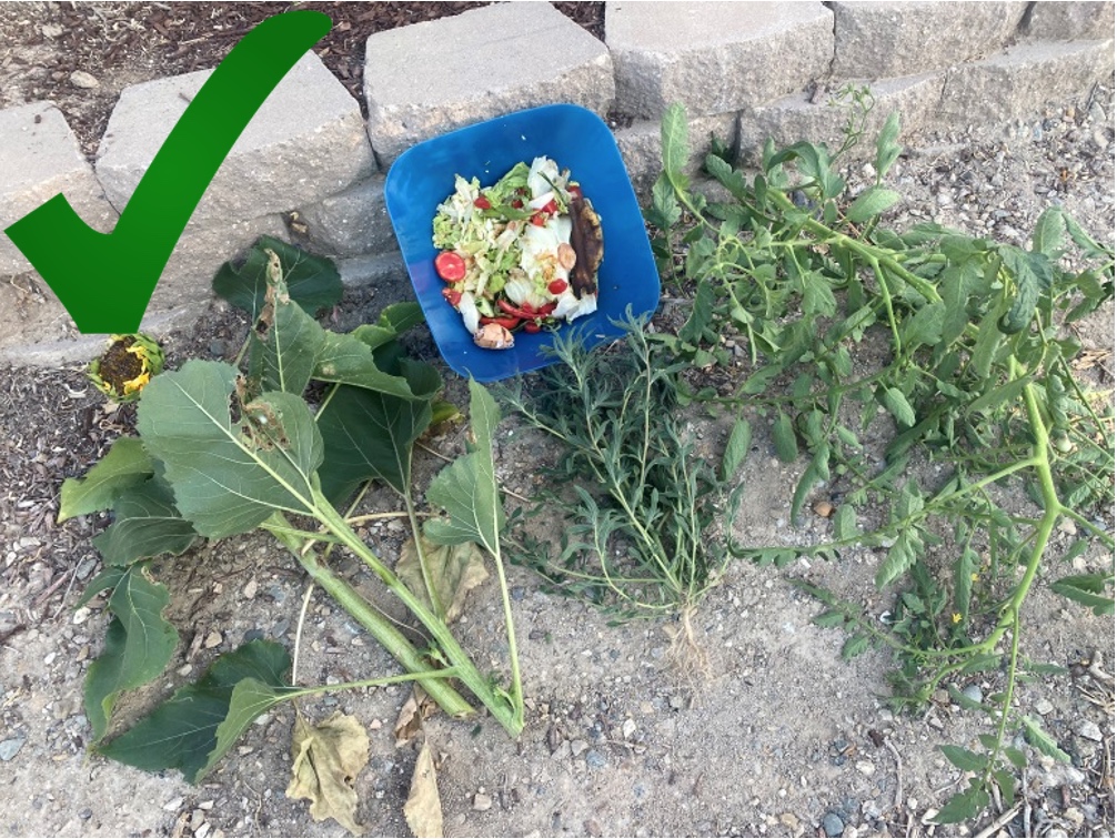 green waste