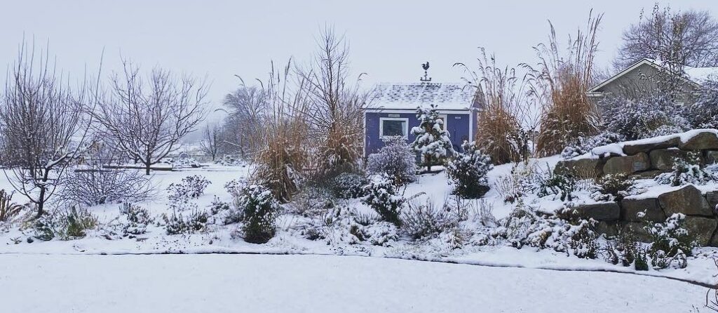 Winter yard