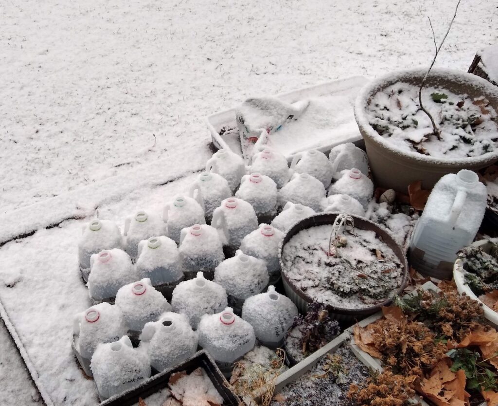 Containers in the snow
