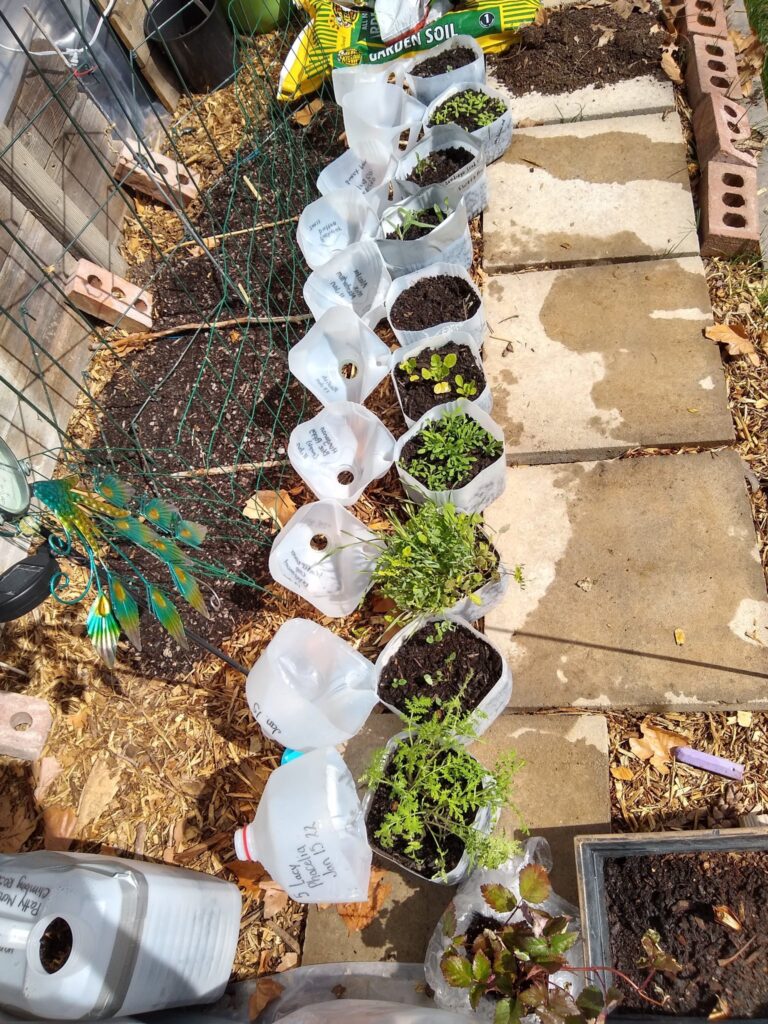 Containers with plants & soil