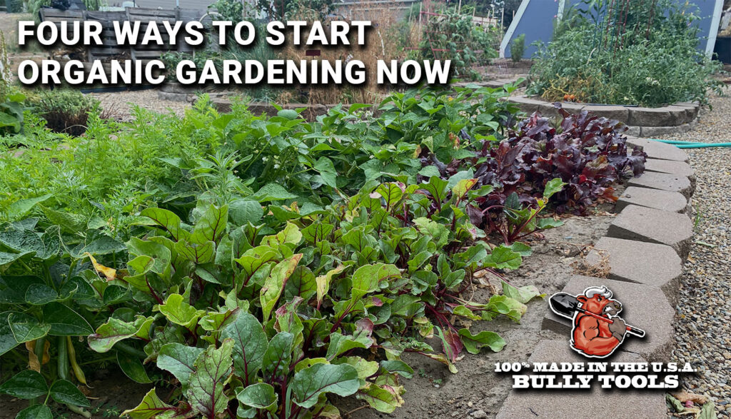 FOUR WAYS TO START ORGANIC GARDENING NOW header